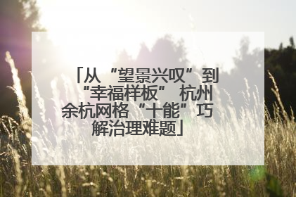 从“望景兴叹”到“幸福样板” 杭州余杭网格“十能”巧解治理难题