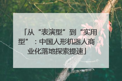 从“表演型”到“实用型”：中国人形机器人商业化落地探索提速