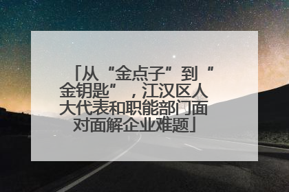 从“金点子”到“金钥匙”，江汉区人大代表和职能部门面对面解企业难题
