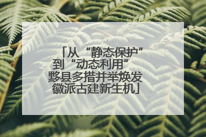 从“静态保护”到“动态利用” 黟县多措并举焕发徽派古建新生机