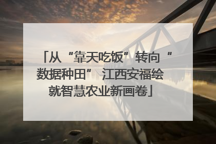 从“靠天吃饭”转向“数据种田” 江西安福绘就智慧农业新画卷