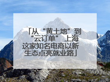 从“黄土地”到“云订单” 上海这家知名电商以新生态点亮就业路