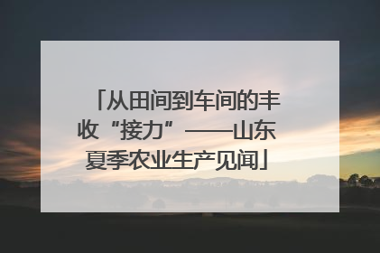 从田间到车间的丰收“接力”——山东夏季农业生产见闻