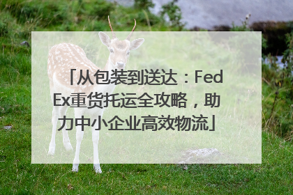 从包装到送达：FedEx重货托运全攻略，助力中小企业高效物流