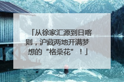 从徐家汇源到日喀则，沪藏两地开满梦想的“格桑花”！