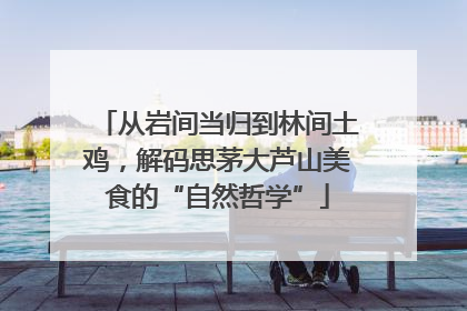 从岩间当归到林间土鸡，解码思茅大芦山美食的“自然哲学”
