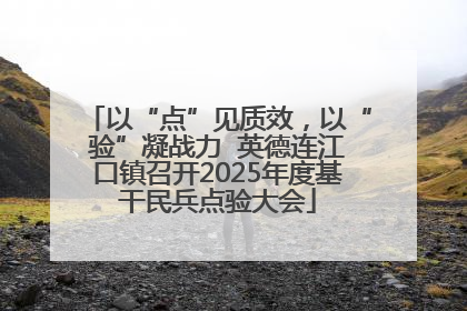 以“点”见质效，以“验”凝战力  英德连江口镇召开2025年度基干民兵点验大会