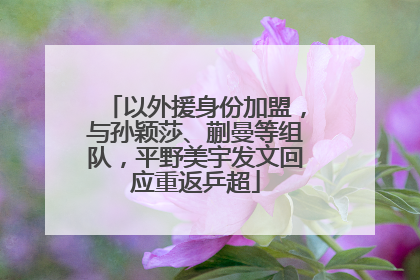 以外援身份加盟，与孙颖莎、蒯曼等组队，平野美宇发文回应重返乒超