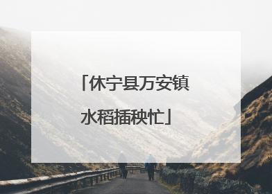 休宁县万安镇水稻插秧忙