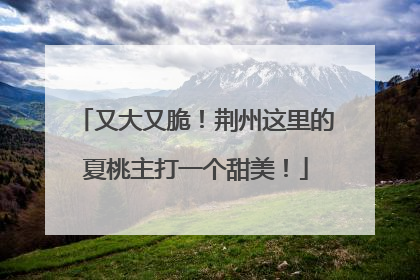 又大又脆！荆州这里的夏桃主打一个甜美！