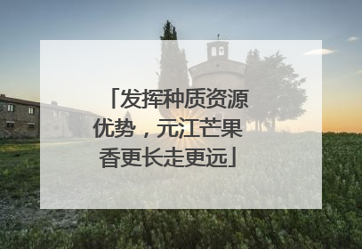 发挥种质资源优势，元江芒果香更长走更远