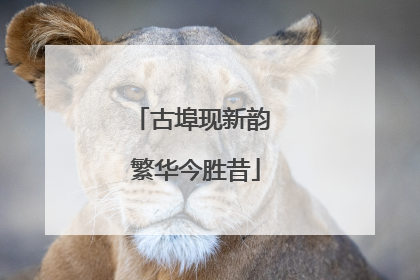 古埠现新韵 繁华今胜昔