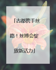 古都携手丝路！丝博会绽放新活力