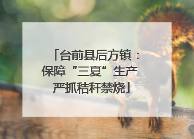 台前县后方镇：保障“三夏”生产 严抓秸秆禁烧