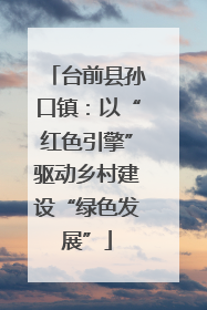 台前县孙口镇：以“红色引擎”驱动乡村建设“绿色发展”