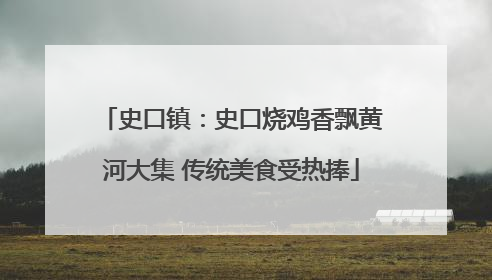 史口镇：史口烧鸡香飘黄河大集 传统美食受热捧