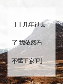 十几年过去了 我依然看不懂王家卫