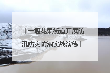 十堰花果街道开展防汛防灾防溺实战演练