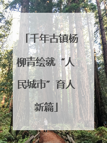 千年古镇杨柳青绘就“人民城市”育人新篇