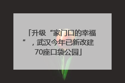 升级“家门口的幸福”，武汉今年已新改建70座口袋公园