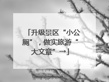 升级景区“小公厕”，做实旅游“大文章”→