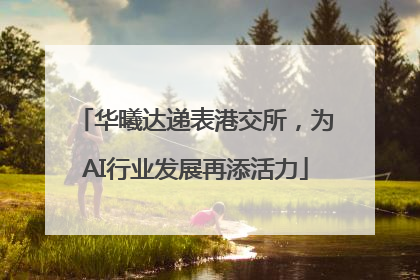 华曦达递表港交所，为AI行业发展再添活力