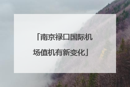 南京禄口国际机场值机有新变化