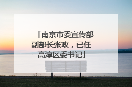 南京市委宣传部副部长张政，已任高淳区委书记