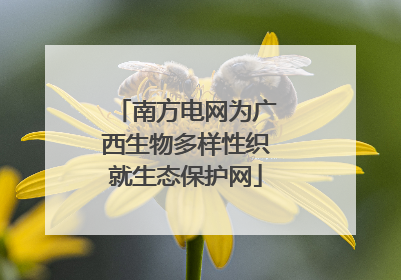 南方电网为广西生物多样性织就生态保护网