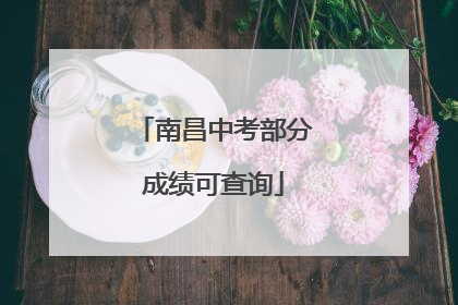 南昌中考部分成绩可查询