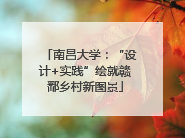 南昌大学：“设计+实践”绘就赣鄱乡村新图景