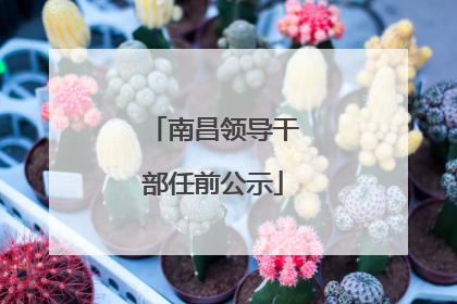 南昌领导干部任前公示