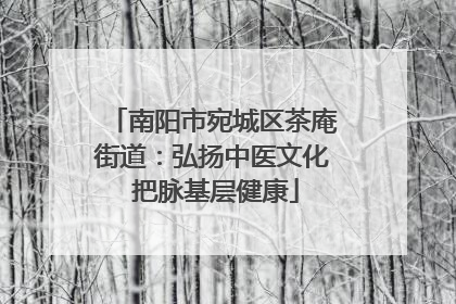 南阳市宛城区茶庵街道：弘扬中医文化 把脉基层健康