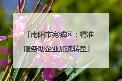 南阳市宛城区：精准服务助企业加速转型
