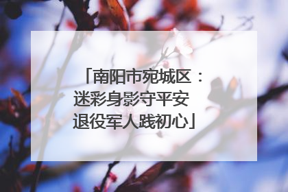 南阳市宛城区：迷彩身影守平安 退役军人践初心