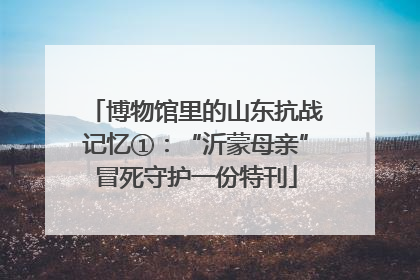 博物馆里的山东抗战记忆①：“沂蒙母亲”冒死守护一份特刊