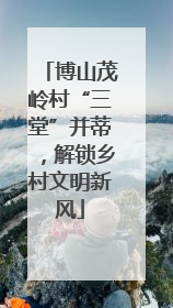 博山茂岭村“三堂”并蒂，解锁乡村文明新风