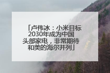 卢伟冰：小米目标2030年成为中国头部家电，非常期待和美的海尔并列