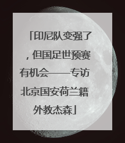 印尼队变强了，但国足世预赛有机会——专访北京国安荷兰籍外教杰森