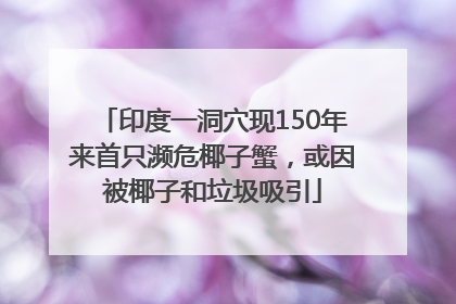 印度一洞穴现150年来首只濒危椰子蟹，或因被椰子和垃圾吸引