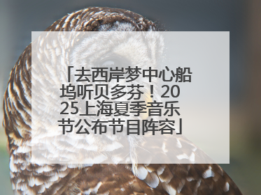 去西岸梦中心船坞听贝多芬！2025上海夏季音乐节公布节目阵容