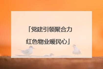 党建引领聚合力 红色物业暖民心