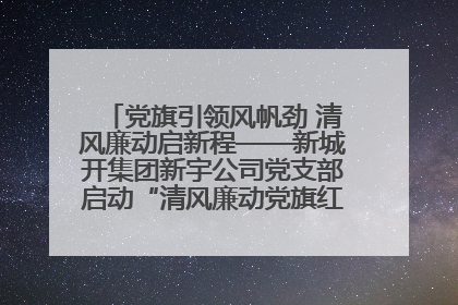 党旗引领风帆劲 清风廉动启新程——新城开集团新宇公司党支部启动“清风廉动党旗红”系列活动
