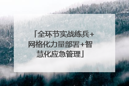 全环节实战练兵+网格化力量部署+智慧化应急管理