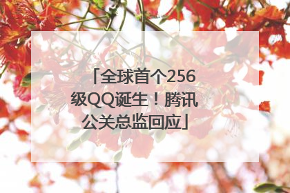 全球首个256级QQ诞生！腾讯公关总监回应