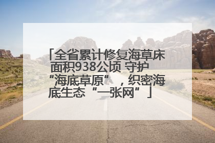 全省累计修复海草床面积938公顷 守护“海底草原”，织密海底生态“一张网”