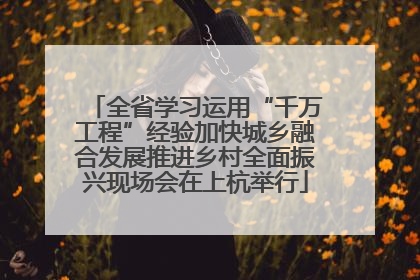 全省学习运用“千万工程”经验加快城乡融合发展推进乡村全面振兴现场会在上杭举行