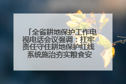 全省耕地保护工作电视电话会议强调：扛牢责任守住耕地保护红线 系统施治夯实粮食安全根基 王宁作出批示 王予波出席并讲话