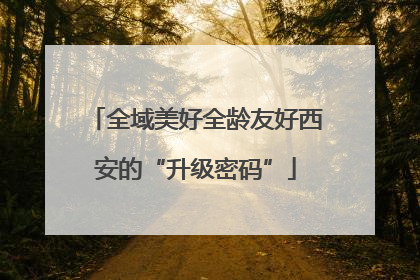 全域美好全龄友好西安的“升级密码”