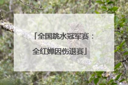 全国跳水冠军赛：全红婵因伤退赛